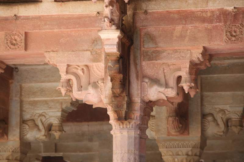 India & Nepal 2011 - 1399